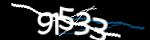 Enter the character string shown in the picture